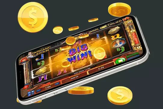 hhbet1